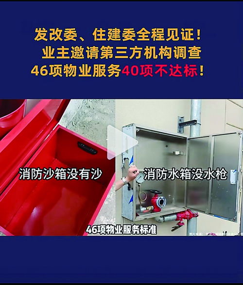 調查報告顯示 這個小區46項物業服務標準中竟然有40項不合格